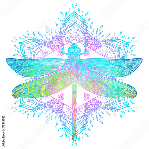 Ornate dragonfly over colorful round mandala pattern. Ethnic patterned vector illustration. African, indian, totem, tribal, zentangle design.