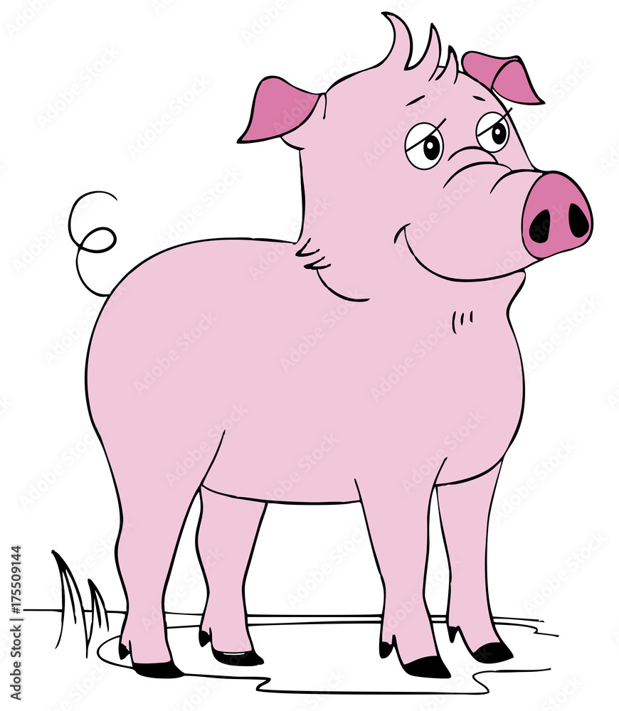 cartoon pink pig on the white backround