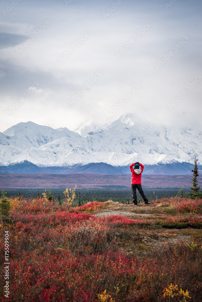 Hiker posing in front of Mount Denali