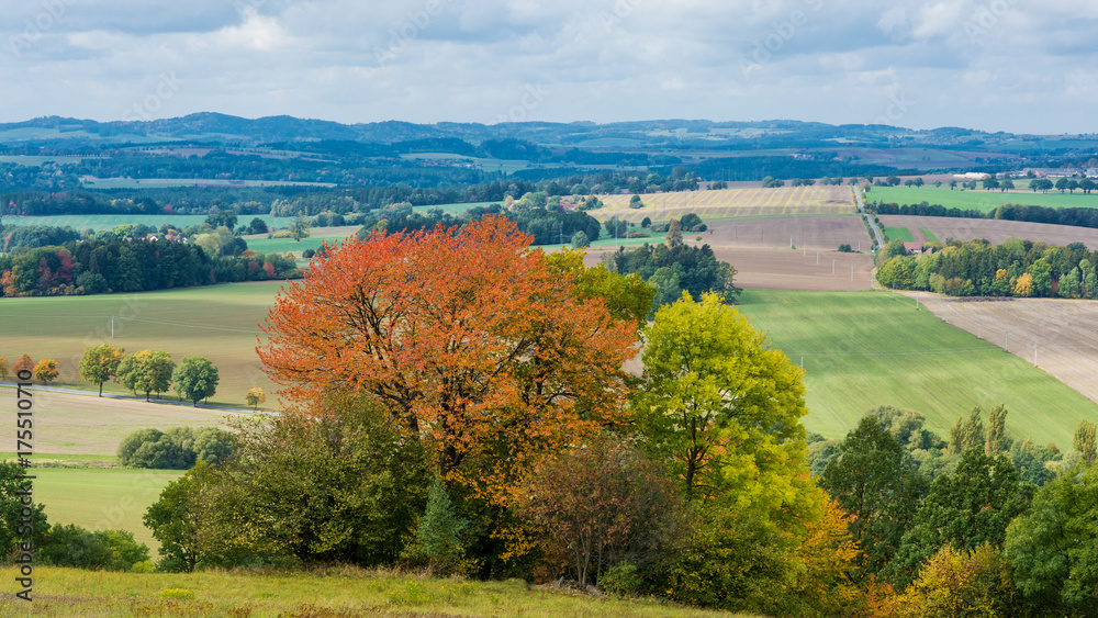 Colorful autumn panorama in sunlight. Beautiful trees in the landscape with blue distances on the horizon.
