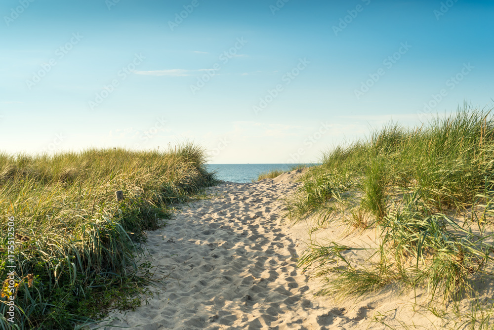 Path to cross the dunes in the north-east German region of Fischland, Darss, located in the federal state of Mecklenburg-Vorpommern. A beautiful landscape in northern Germany Path to cross the dunes in the north-east German region of Fischland, Darss, located in the federal state of Mecklenburg-Vorpommern. A beautiful landscape in northern Germany