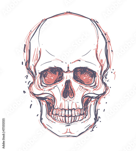Sketchy style drawing of human skull, human head, isolated on white. Tattoo design element. Vector illustration.
