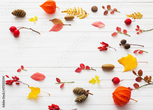 red berriaes and  autumn leaves on white wooden background photo