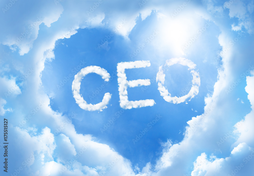 CEO cloudword inside heart cloud frame on blue sky background. CEO cloudword inside heart cloud frame on blue sky background.