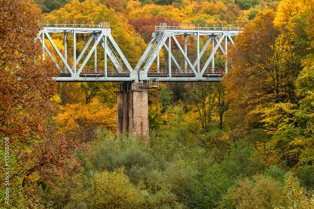Fototapeta premium Autumn landscape with bridge