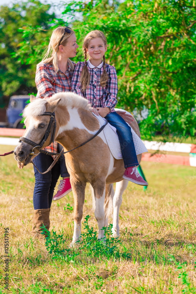 Pony. Landscape. Summer