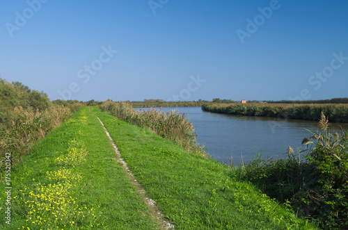 View of one of the channel of the Delta of Po river near the Adriatic sea not far from Goro village, Ferrara, Italy
