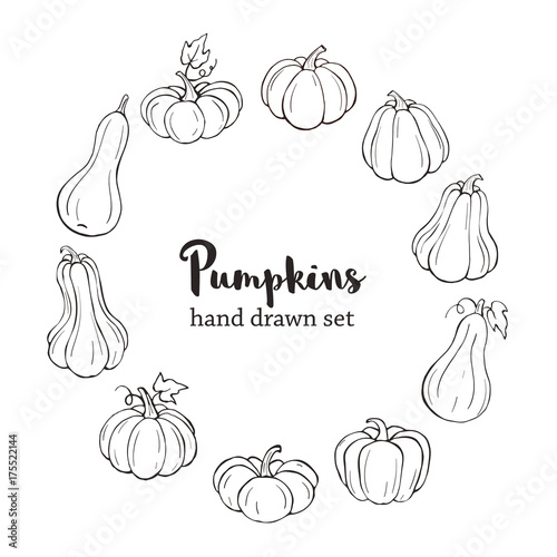 Hand drawn pumpkins vector collection. Pumpkin icons isolated on white background.