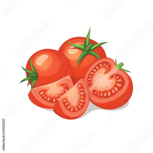 Fresh and ripe tomatos isolated on white background. Close-up of sliced raw tomato. Vector illustration.