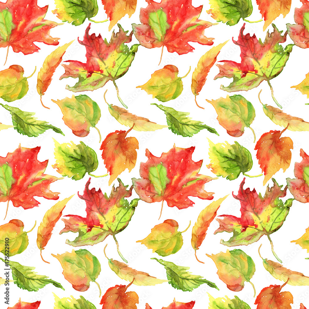 Fototapeta premium Hand drawing watercolor yellow autumn birch leaves pattern