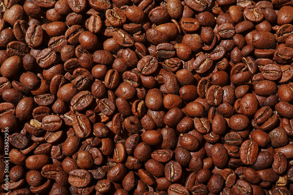 Fototapeta premium coffee beans texture