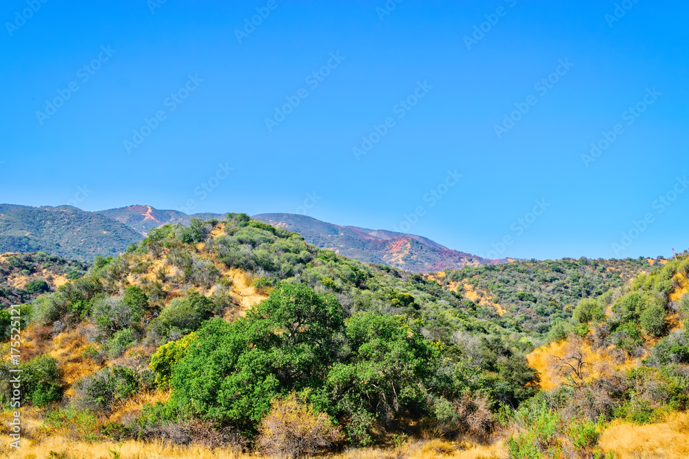 Red fire retardant on mountains in Southern California