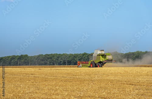 Combine harvester in action on wheat field.