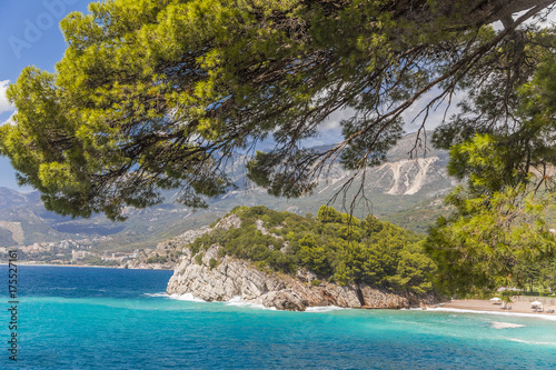 каменный остров в адриатическом море с кипарисами