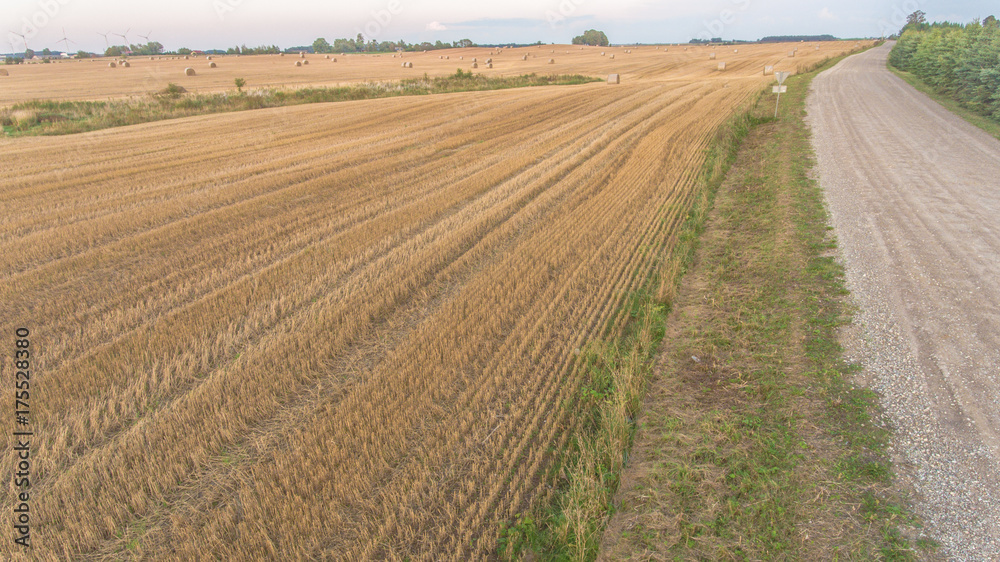 aerial view of rye harvesting field