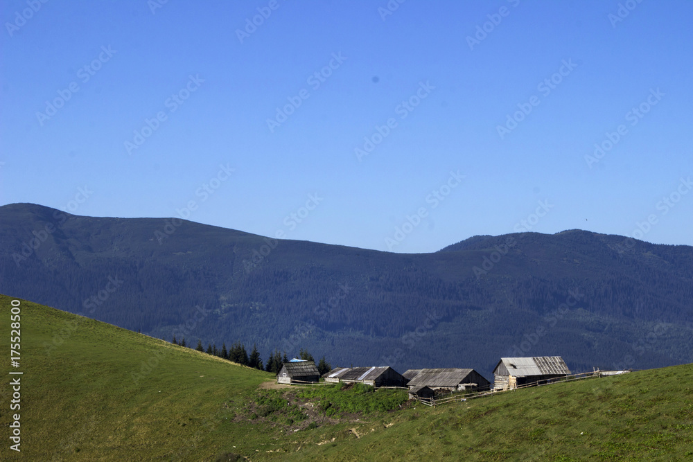 Many houses of shepherds is situated at the foot of the mountain in the pasture, Carpathians