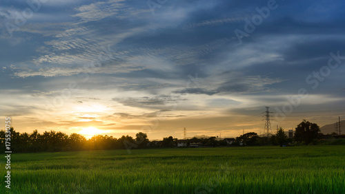 City landscape view sunset over rice field plantation farming with house and telecom,communication antennas in countryside Thailand