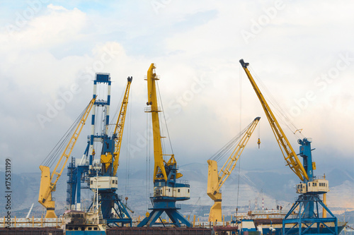 Harbor cranes in the port