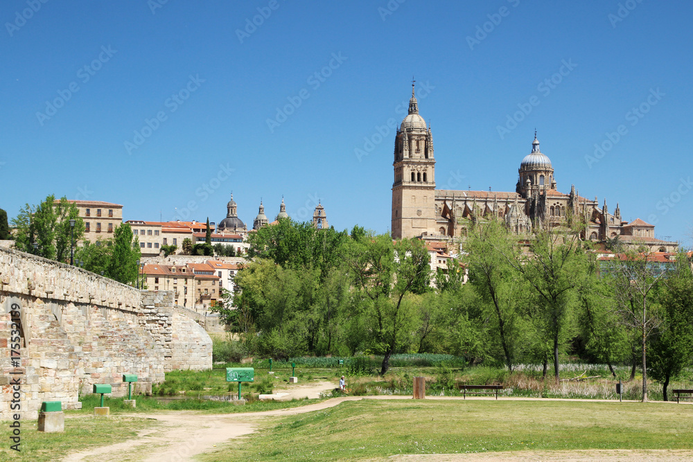 New Cathedral and The Roman bridge of Salamanca, Spain 