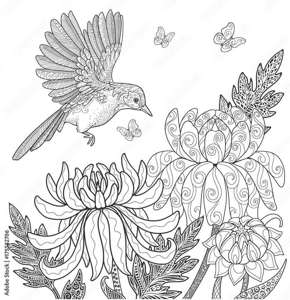 Bird and flowers and butterfly in garden, page for adult coloring ...
