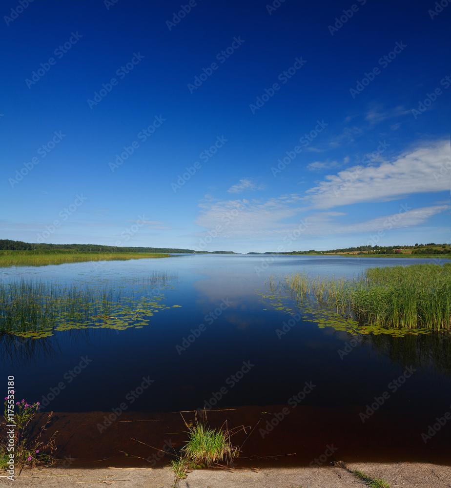 Obraz premium Panoramic view of the smooth surface of the lake with vegetation