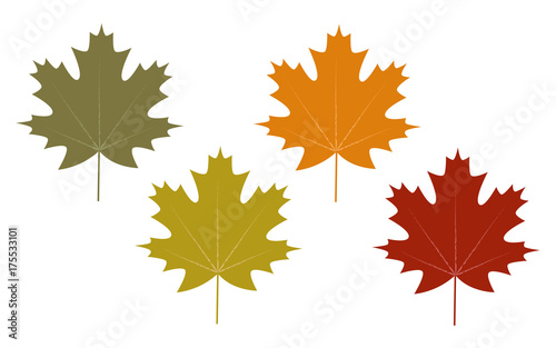 Set of clip art autumn leaves  vector