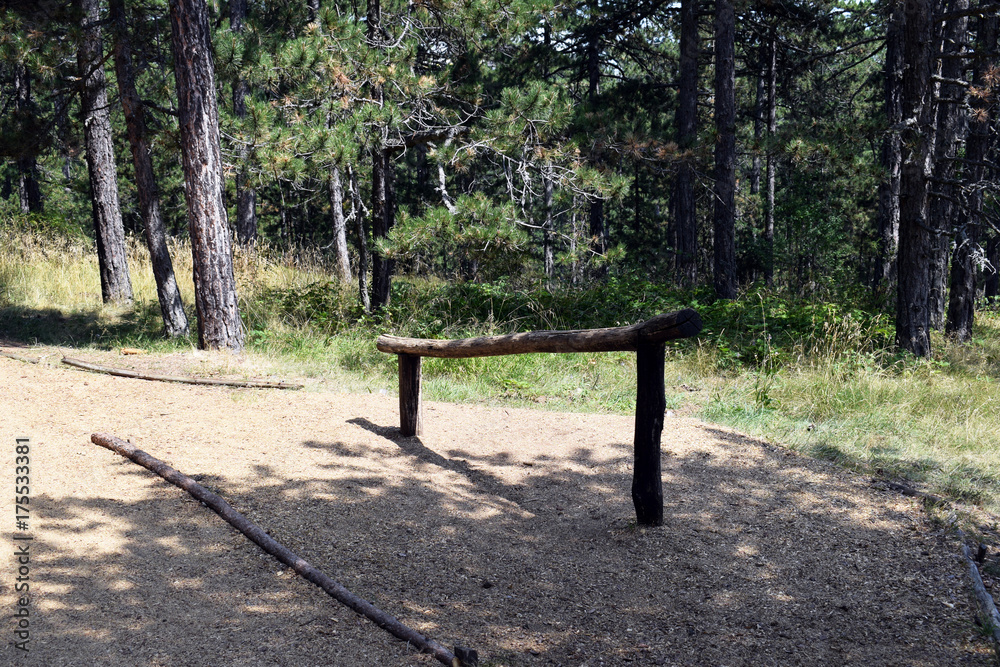 Obstacles for crossing and training in the forest