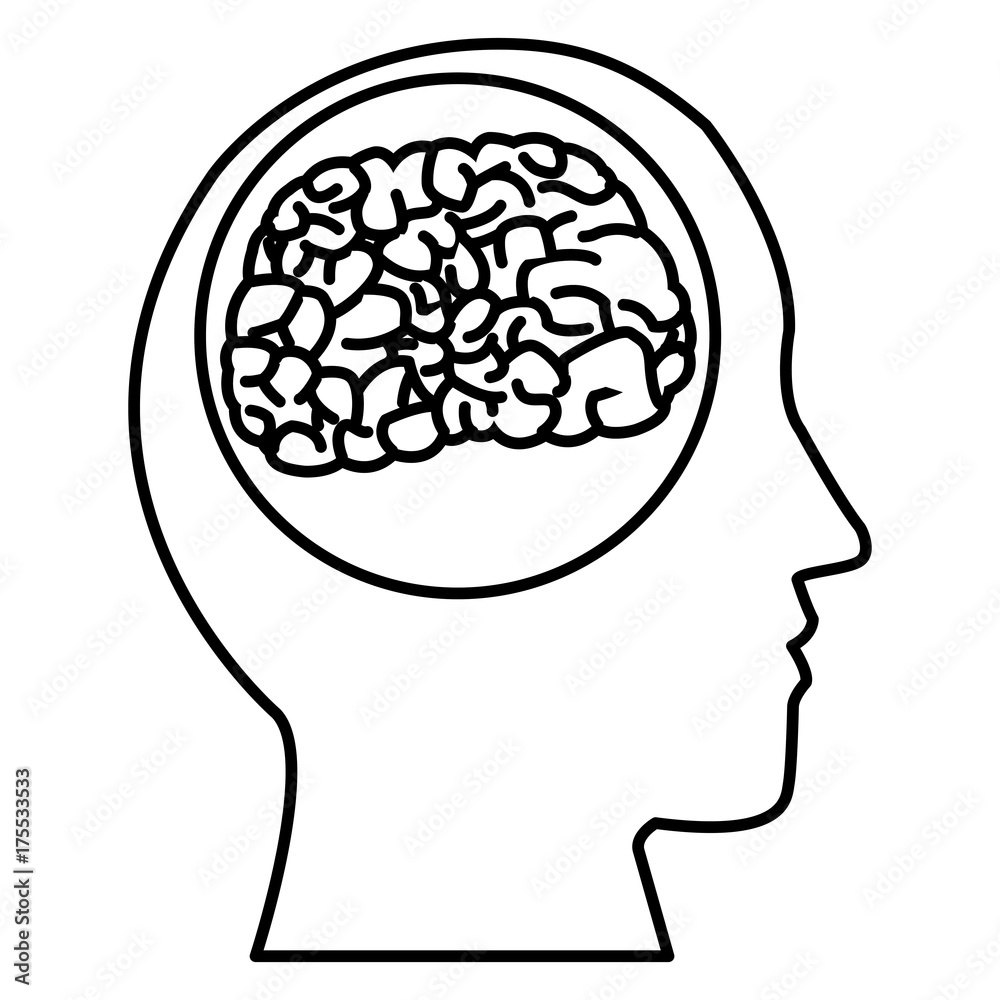 Human brain silhouette icon vector illustration graphic design Human brain silhouette icon vector illustration graphic design