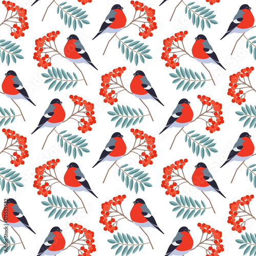 Seamless pattern with bullfinch on rowan branch isolated on white background. Seasonal natural pattern with rowan berries. Vector illustration. © mejorana777