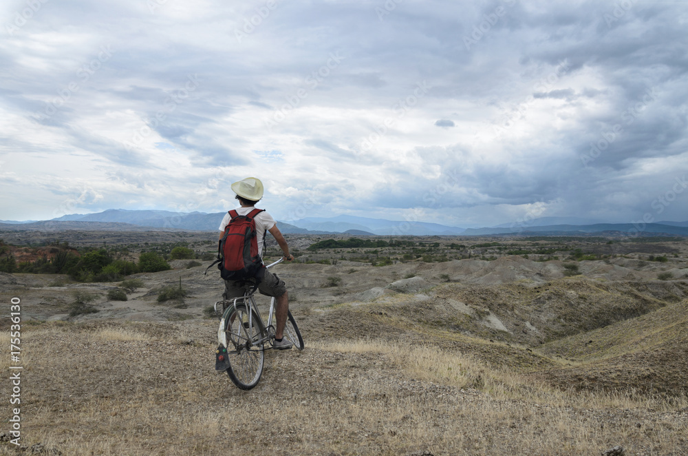 Back view of a traveler on a bicycle overlooking stunning prairie and mountains landscape Back view of a traveler on a bicycle overlooking stunning prairie and mountains landscape
