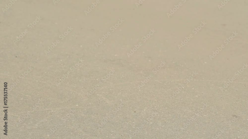 Close-up of feet of skateboarder boy on skateboard passing along road in sunlight in summer season Close-up of feet of skateboarder boy on skateboard passing along road in sunlight in summer season