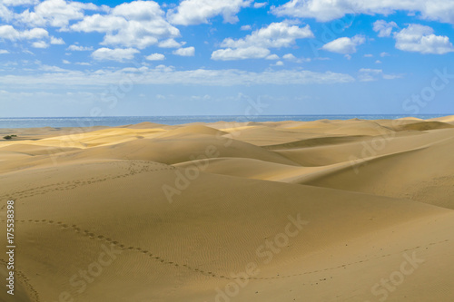 Hot desert. Sand dunes of Maspalomas