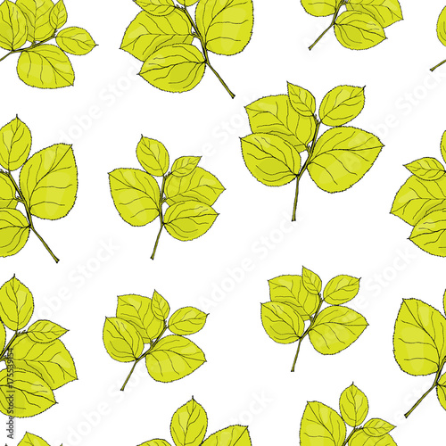 Seamless pattern hydrangea leaf. Colored vector illustration on white
