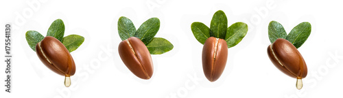Argan nuts isolated for use in designs