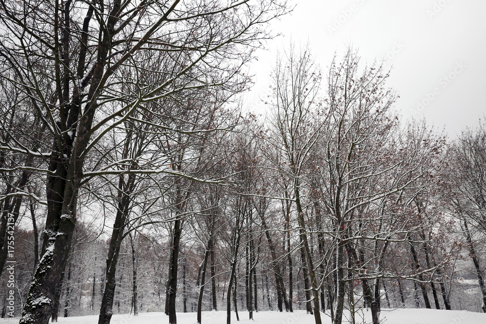 Snow drifts in winter