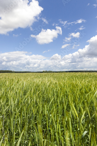 Green field