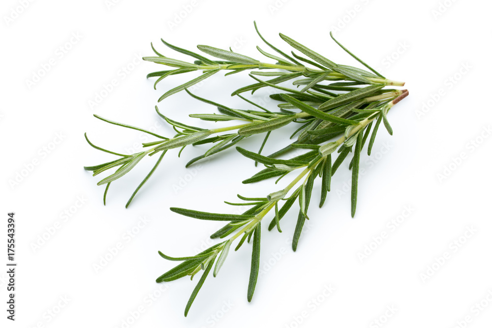 Rosemary isolated on white background, Top view.