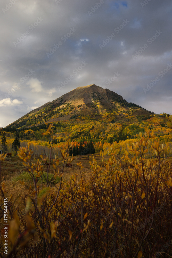 Crested Butte with Aspen Yellow Leafs in Autumn Colorado