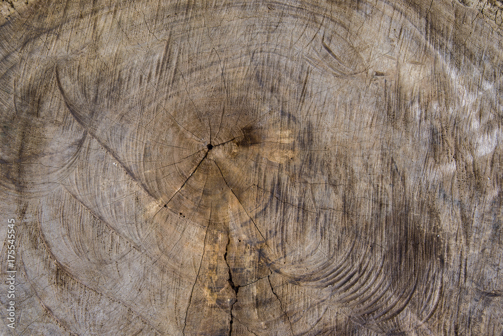 Fototapeta premium Old wood background.