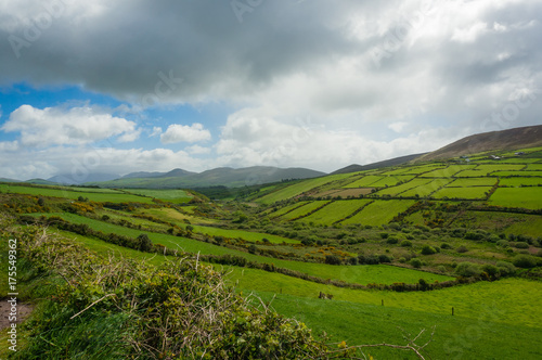 Rolling farmland on Dingle Peninsula, County Kerry
