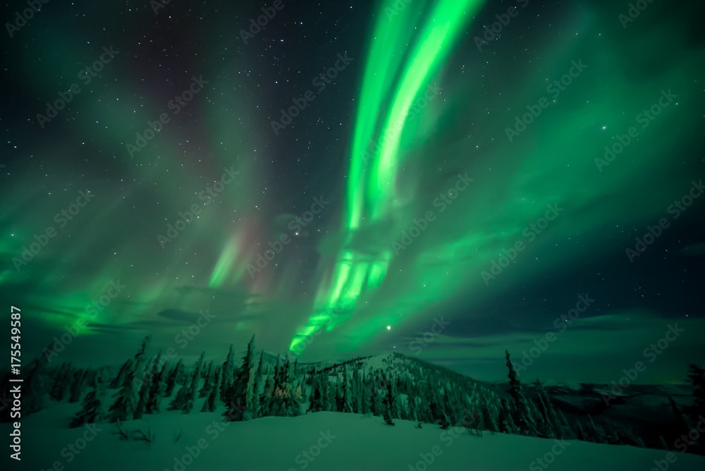 Aurora Borealis over snow-covered landscape in Alaska
