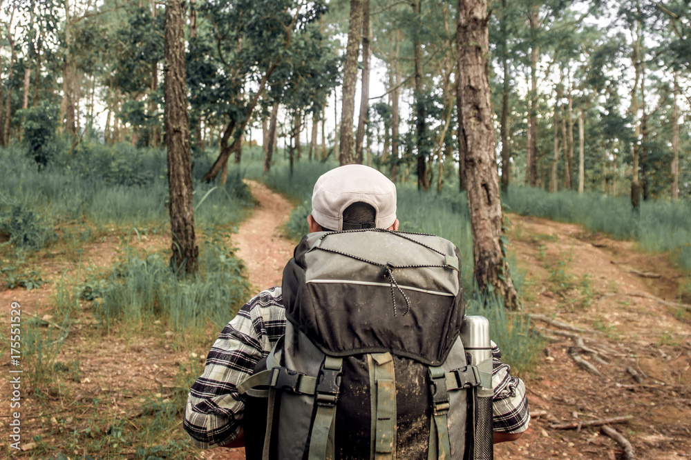 Hiker man is walking in the autumn forest on a sunny day