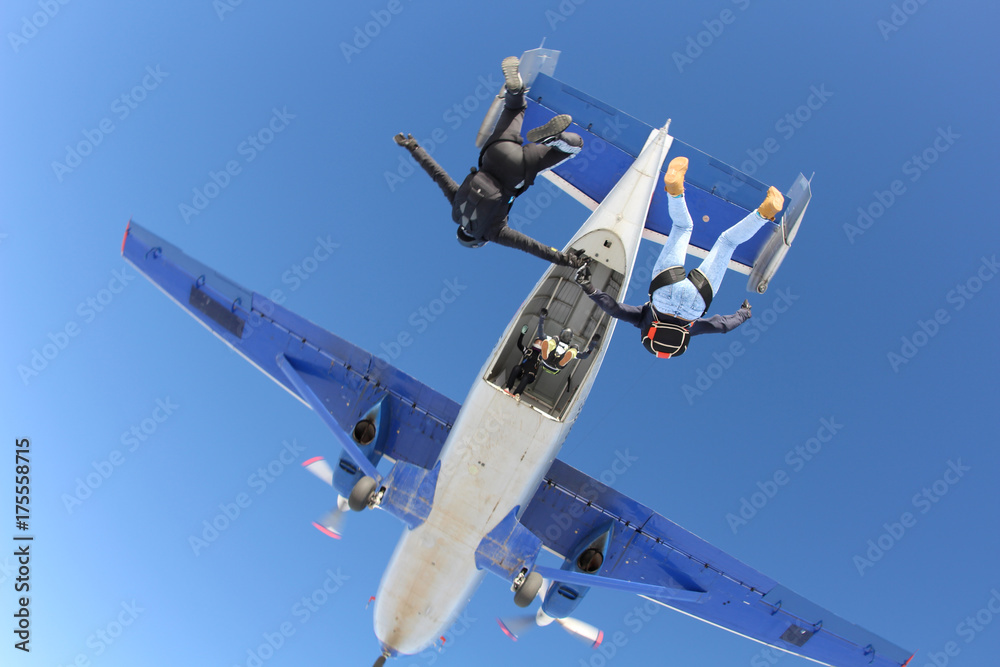 Obraz premium Skydiving