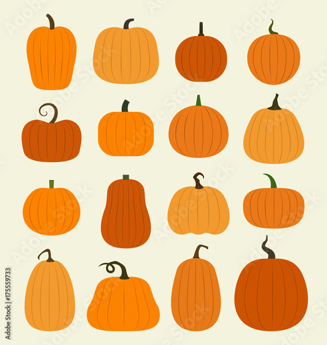 pumpkin set, Harvest Thanksgiving