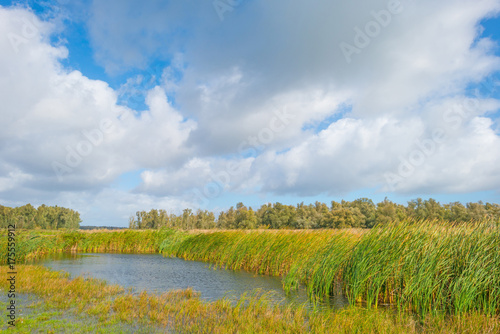 Shore of a lake in stormy weather in autumn