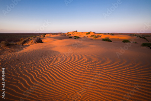 sand dune textures  Sturts Stony Desert