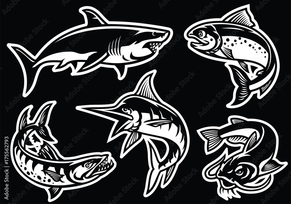 collection of fish in black and white collection of fish in black and white