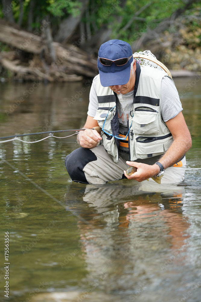 Fly fisherman trying to release brown trout in river Fly fisherman trying to release brown trout in river