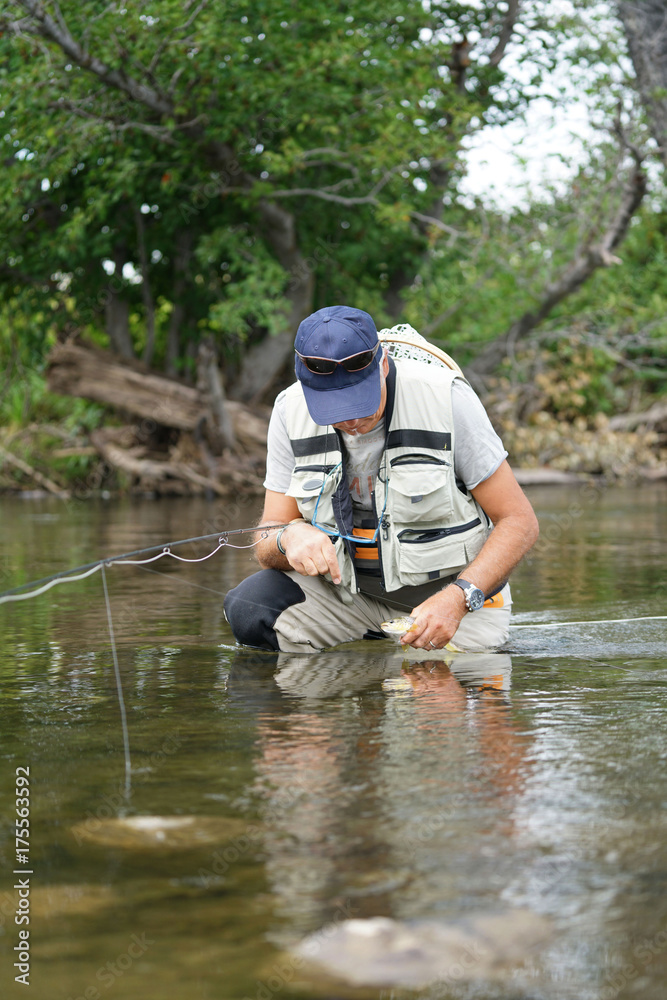 Fly fisherman trying to release brown trout in river Fly fisherman trying to release brown trout in river