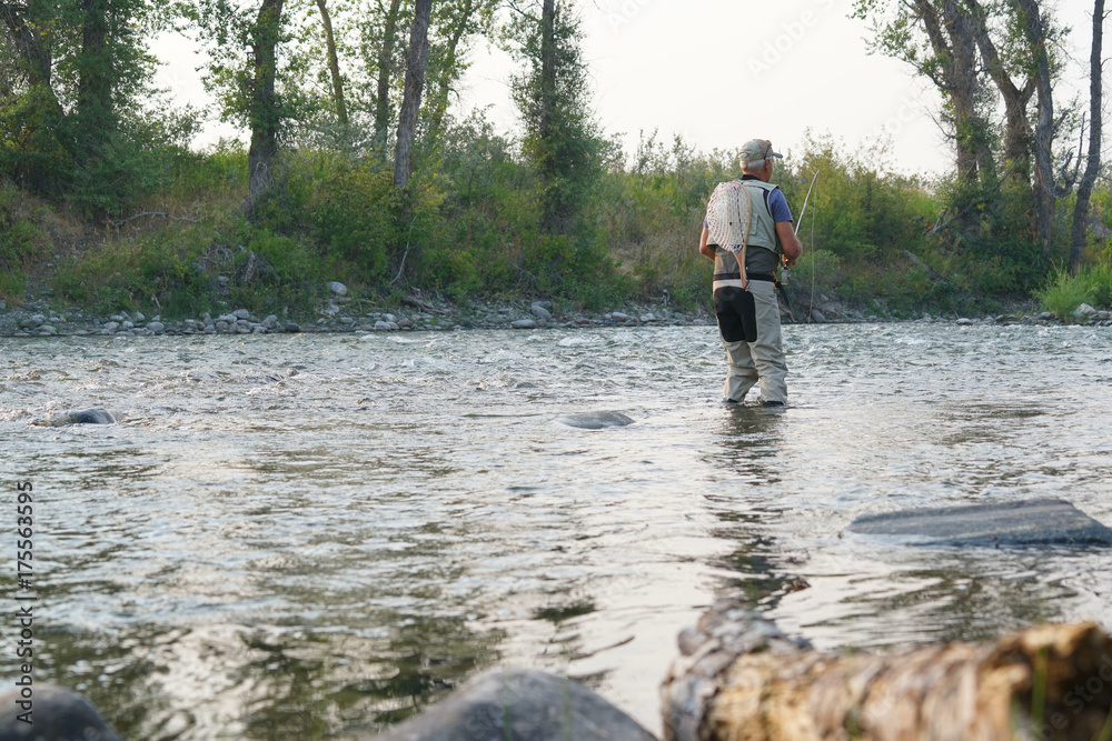 Fly fisherman fishing in river of Montana state Fly fisherman fishing in river of Montana state